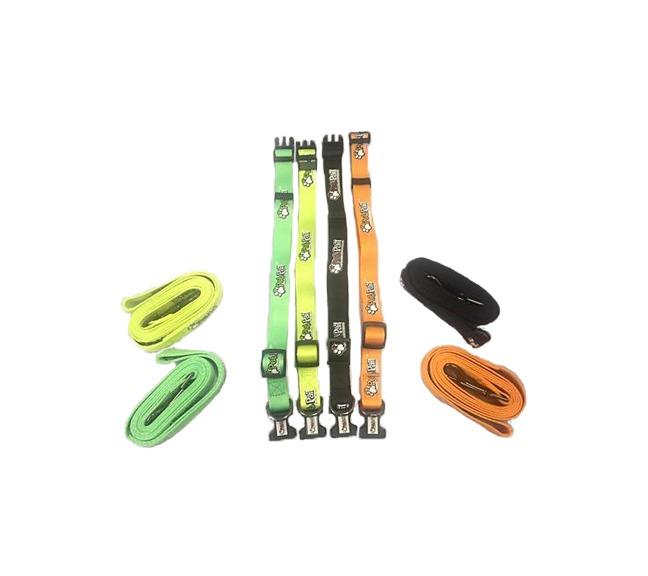 Dog Collar & Leash Set