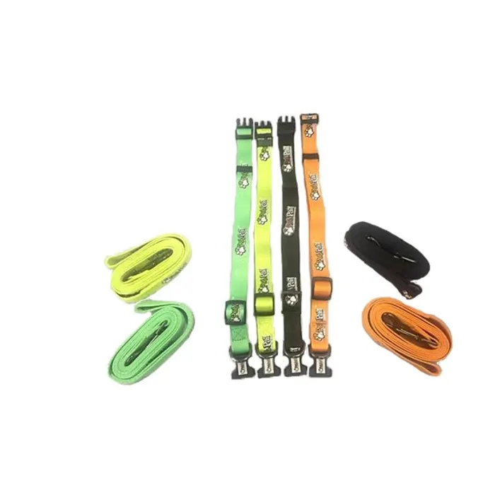 Dog Collar & Leash Set