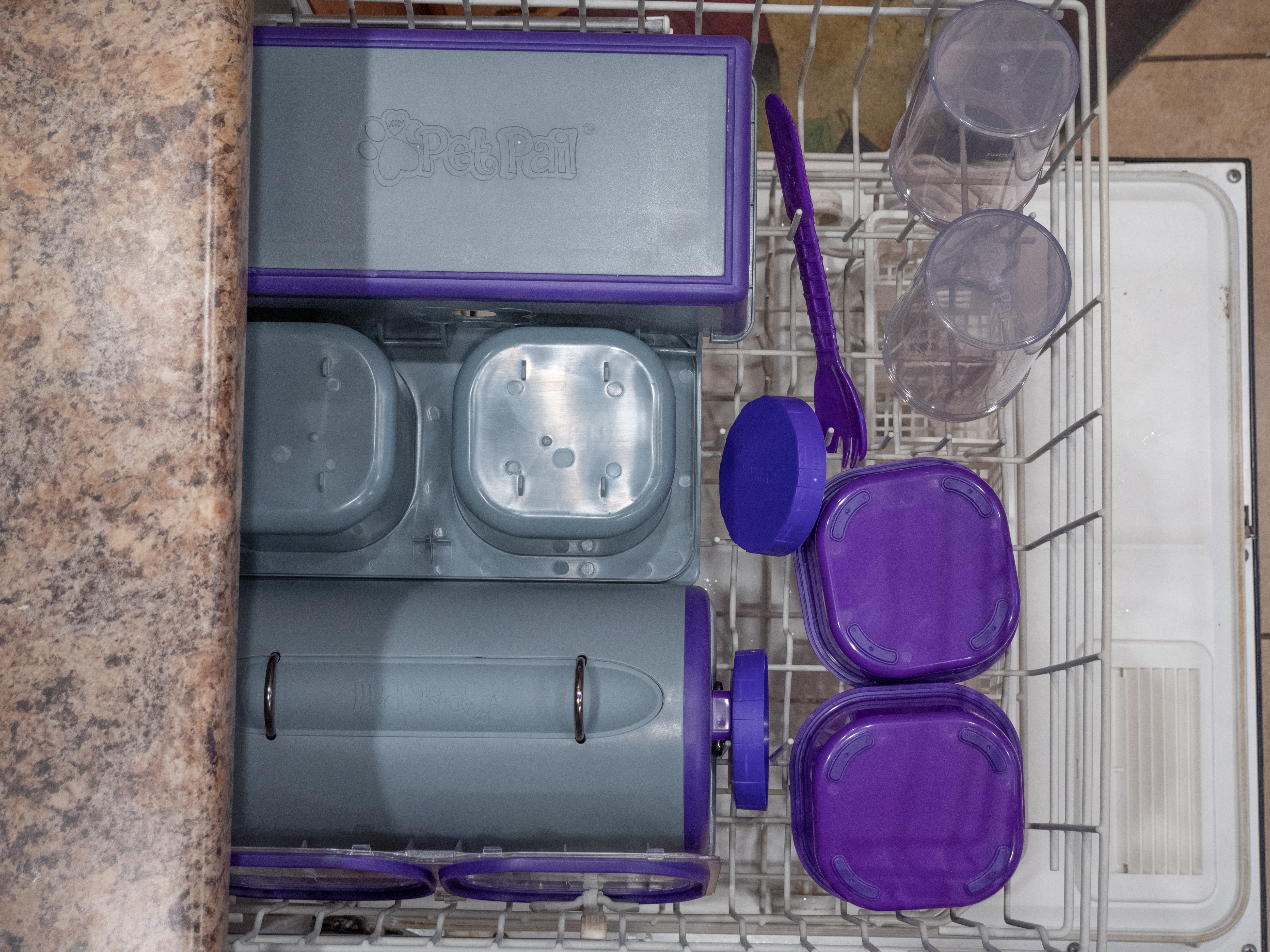 My Pet Pail® | All in One Travel Dog Bowl |  Purple & Grey