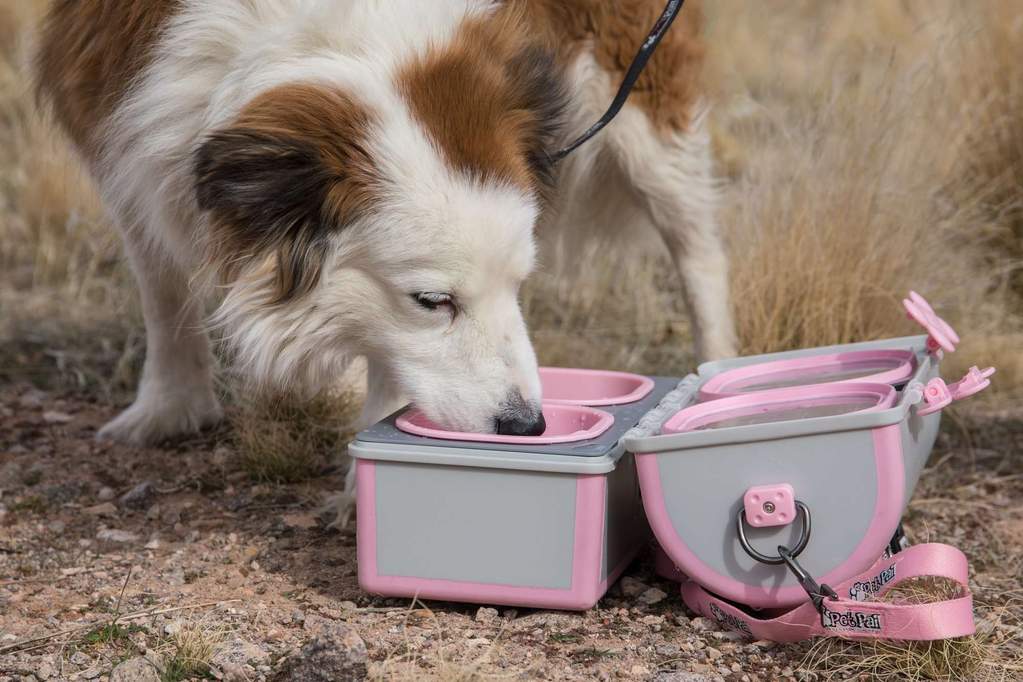 My Pet Pail® | All in One Travel Dog Bowl | Pink & Grey