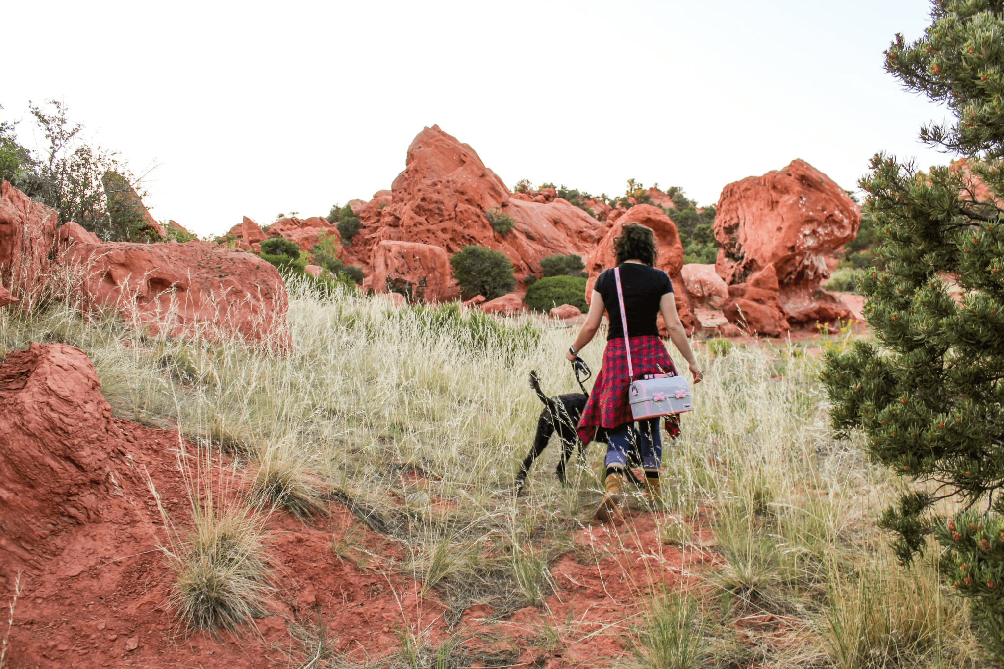 Hiking With Your Pet Packing List & Tips! My Pet Pail