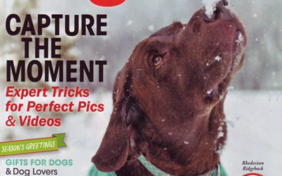 As Seen In Dogster Magazine: 2018 Holiday Must Haves