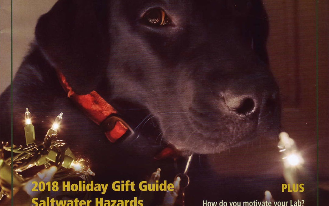 Seen in Just Labs Magazine: 2018 Holiday Guide
