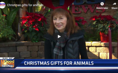KUSI San Diego – Gift Ideas for Animals