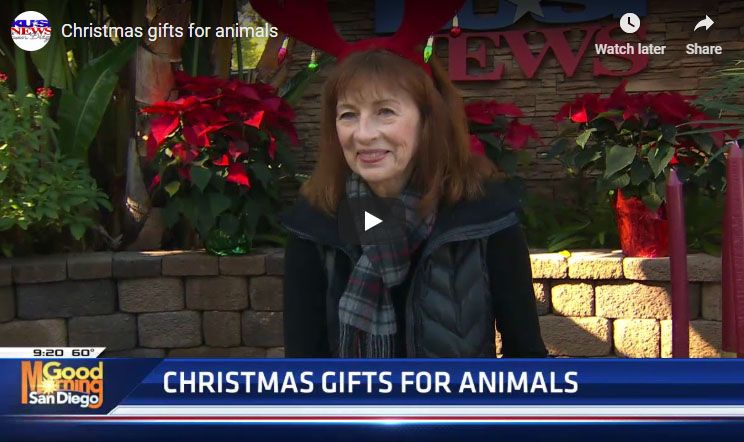 KUSI San Diego – Gift Ideas for Animals
